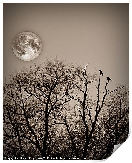 Evening roost Print by Sharon Lisa Clarke