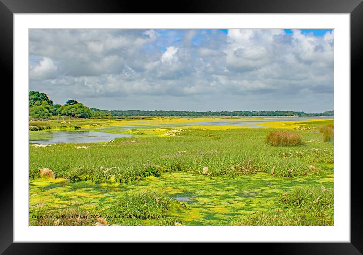 Brands Bay Wetlands Dorset Landscape Framed Mounted Print by Kenn Sharp