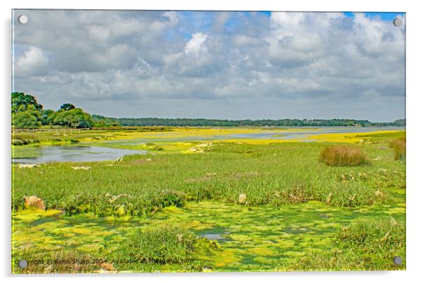 Brands Bay Wetlands Dorset Landscape Acrylic by Kenn Sharp