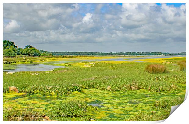 Brands Bay Wetlands Dorset Landscape Print by Kenn Sharp