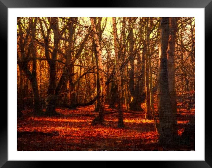 Epping Forest Autumn Landscape Framed Mounted Print by Steve Painter