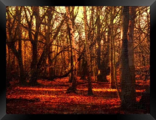Epping Forest Autumn Landscape Framed Print by Steve Painter