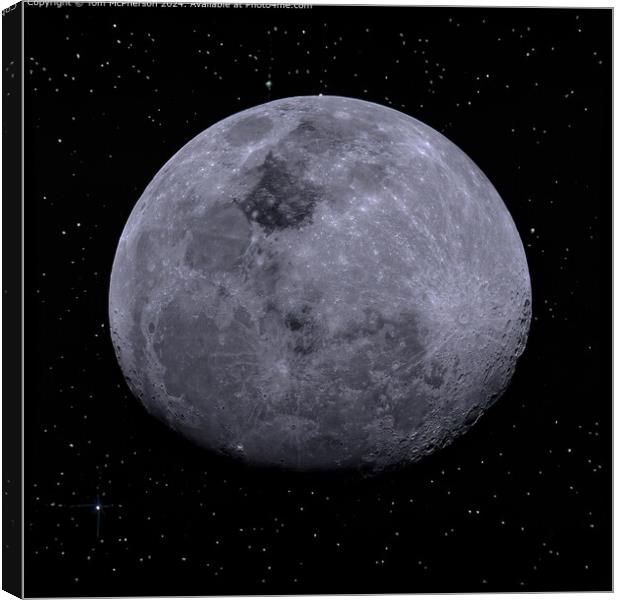 Waxing Gibbous Moon Night Sky Canvas Print by Tom McPherson