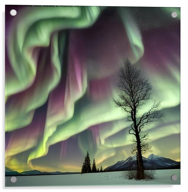 Enchanting Aurora Borealis Tree Acrylic by Paddy 