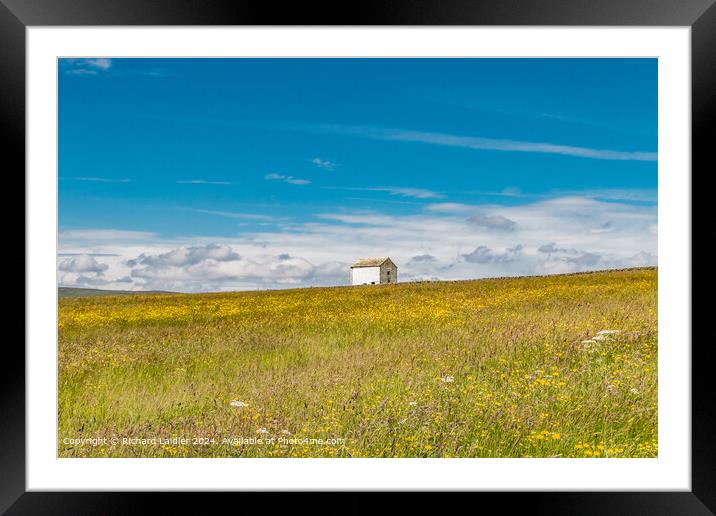Barn in a Summer Meadow  Framed Mounted Print by Richard Laidler