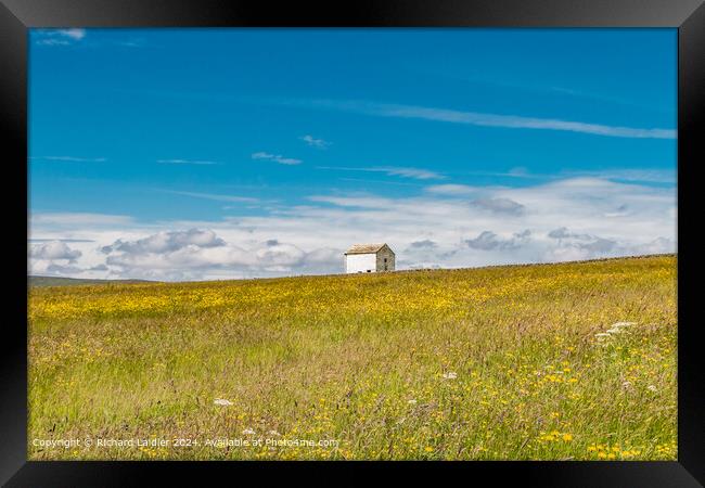 Barn in a Summer Meadow  Framed Print by Richard Laidler