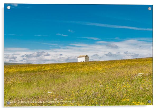 Barn in a Summer Meadow  Acrylic by Richard Laidler