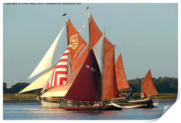 Colne Smack and Barge Race, Brightlingsea Print by Chris Petty