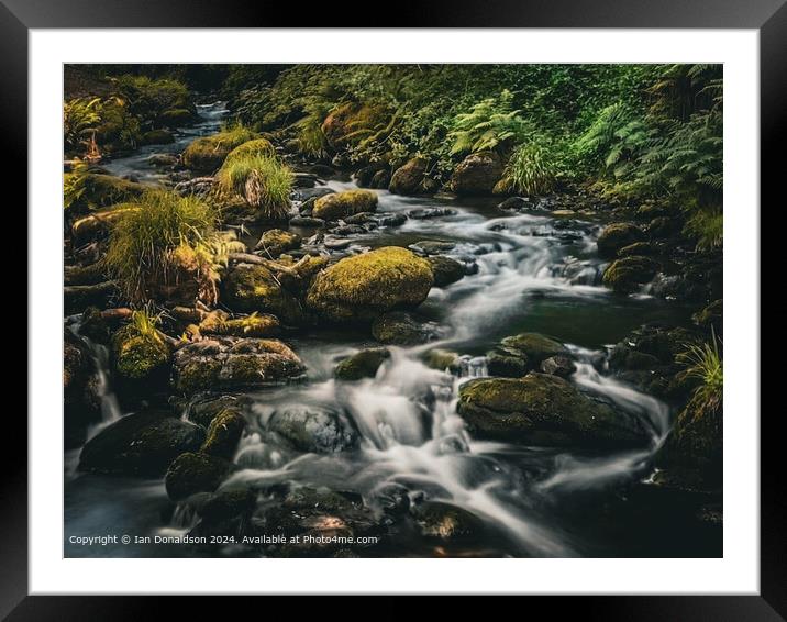 Dolgoch Waterfall Framed Mounted Print by Ian Donaldson