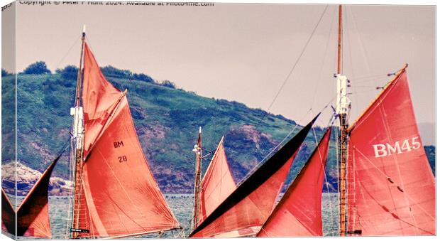 The Red Sails Of Brixham  Canvas Print by Peter F Hunt
