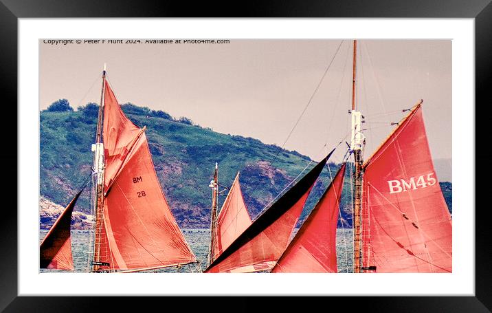 The Red Sails Of Brixham  Framed Mounted Print by Peter F Hunt