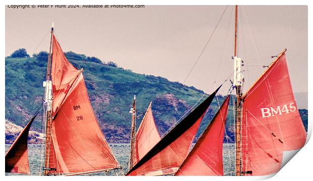 The Red Sails Of Brixham  Print by Peter F Hunt