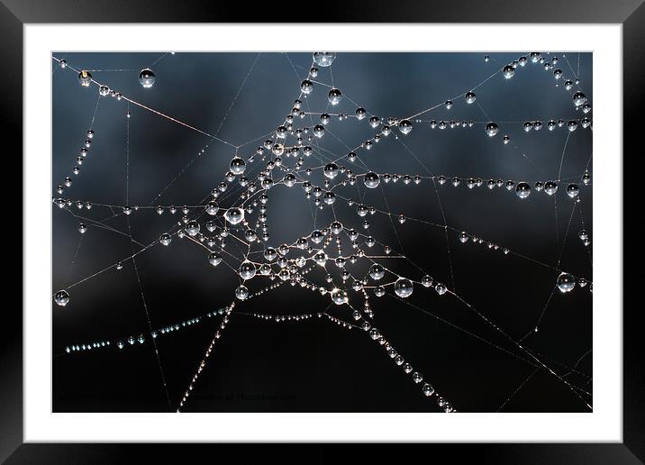 Morning Pearl-Adorned Spiders Web Framed Mounted Print by Kenn Sharp
