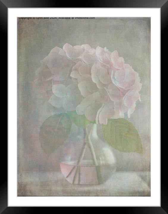 Pink Hydrangea Vase Overlay Framed Mounted Print by Lynn Bolt