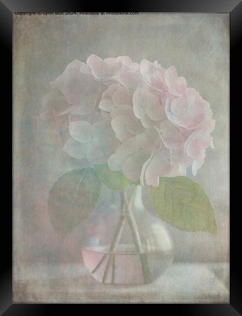 Pink Hydrangea Vase Overlay Framed Print by Lynn Bolt