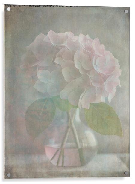 Pink Hydrangea Vase Overlay Acrylic by Lynn Bolt