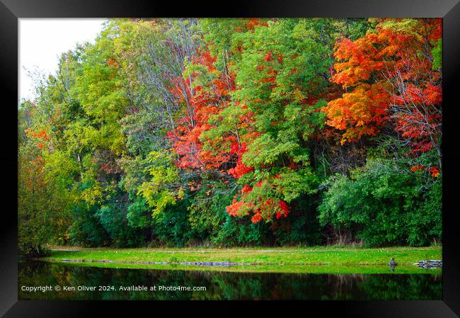 Reflective Autumn Pond Framed Print by Ken Oliver
