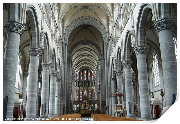 inside St Martin's Cathedral Ypres Print by Elouera Photography