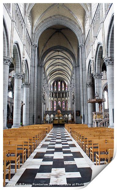 aisle inside St Martin's Cathedral Ypres Print by Elouera Photography