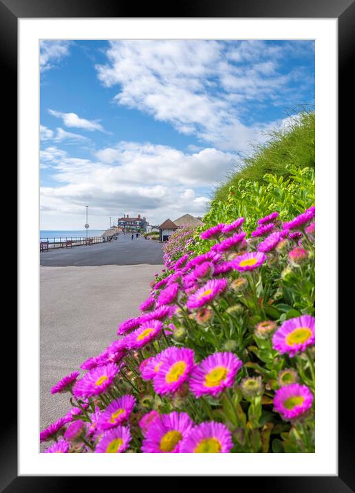 Beautiful Hornsea Framed Mounted Print by Steve Smith
