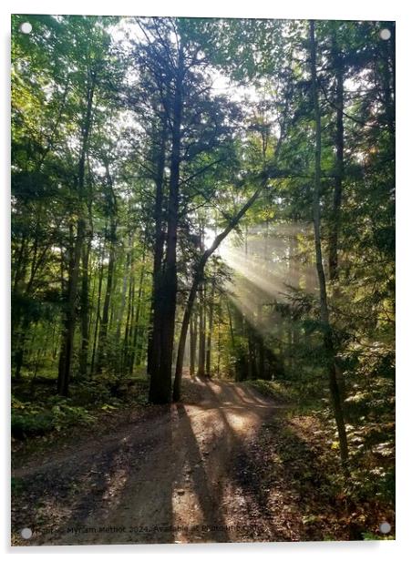 Sunlight Forest Trail Acrylic by Myriam Methot