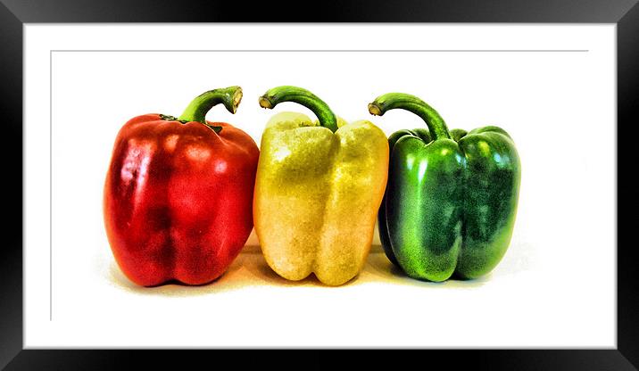 3 peppers Framed Mounted Print by Heather Newton