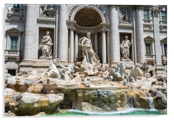 Trevi Fountain and Palazzo Poli in Rome, Italy Acrylic by Angus McComiskey