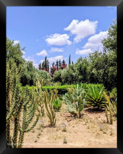 Moroccan Cactus Garden Landscape Framed Print by Robert Galvin-Oliphant