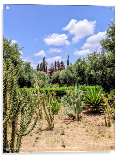 Moroccan Cactus Garden Landscape Acrylic by Robert Galvin-Oliphant