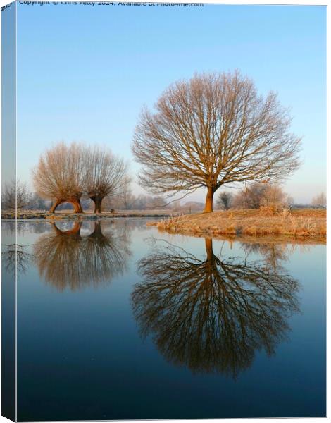 River Stour Reflections Canvas Print by Chris Petty