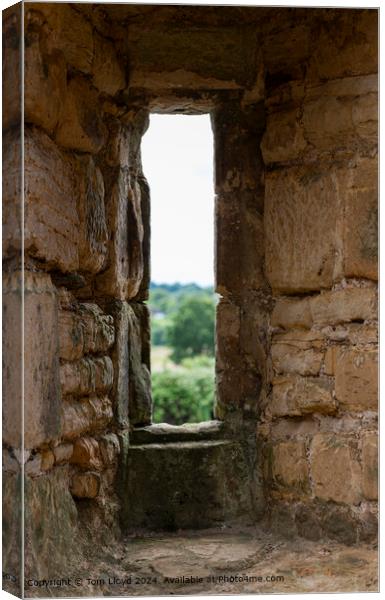 Bodiam Castle Arches: Sandstone Perspective Canvas Print by Tom Lloyd
