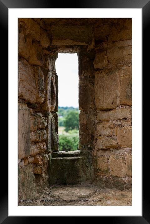 Bodiam Castle Arches: Sandstone Perspective Framed Mounted Print by Tom Lloyd