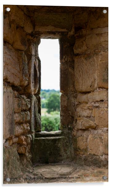 Bodiam Castle Arches: Sandstone Perspective Acrylic by Tom Lloyd