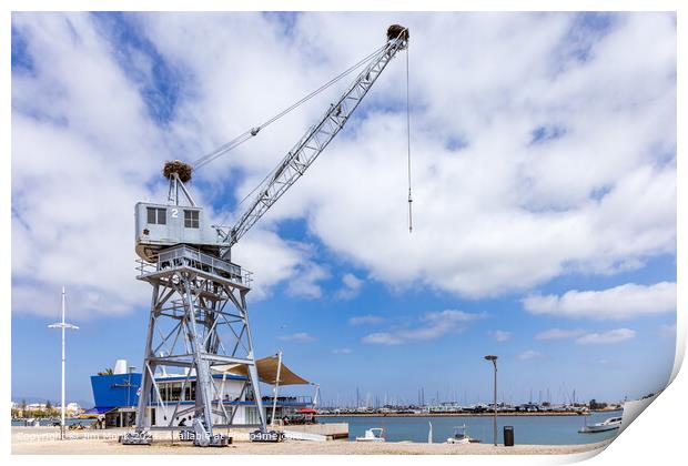 Old port crane at Portimao harbour Print by Jim Monk