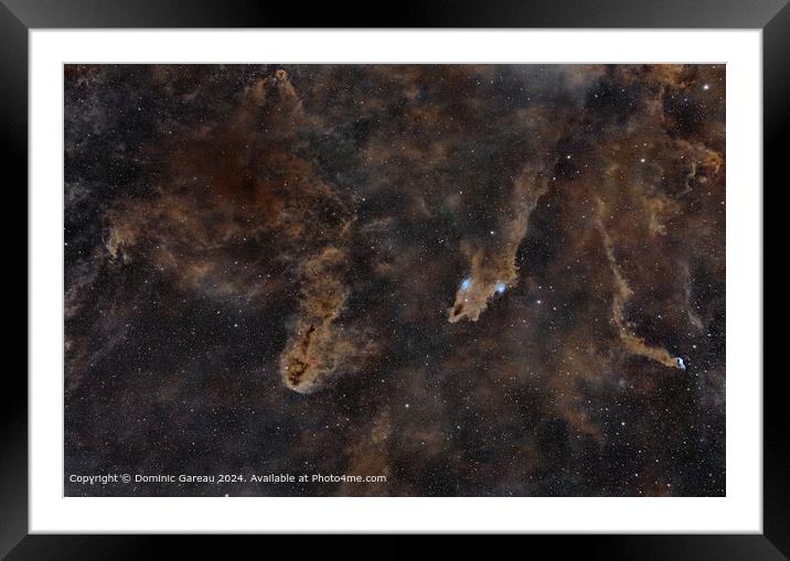 IFN Nebula Cepheus Dark Shark Framed Mounted Print by Dominic Gareau