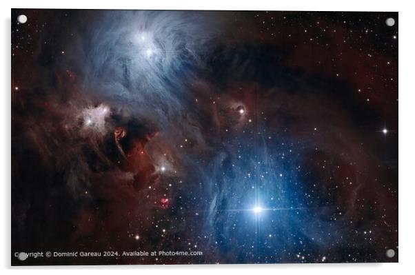 Reflection Nebula NGC6729 Stars Acrylic by Dominic Gareau