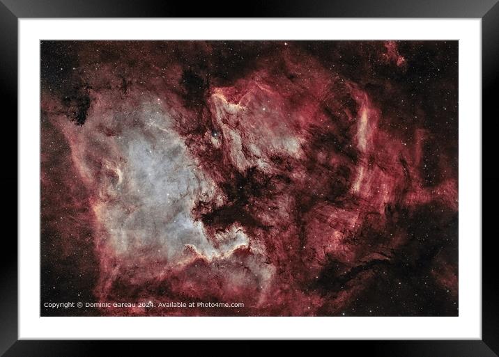 North America Pelican Nebulae - Colourful, Detaile Framed Mounted Print by Dominic Gareau