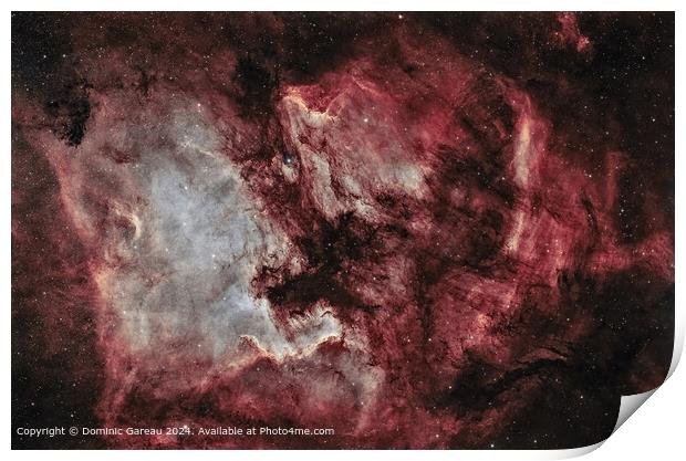 North America Pelican Nebulae - Colourful, Detaile Print by Dominic Gareau