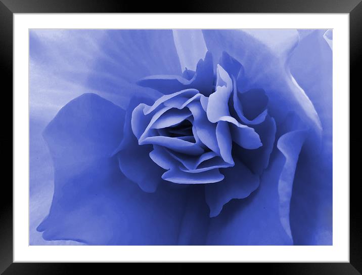 Petals Framed Mounted Print by Jeni Harney