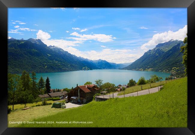 Lake Brienz Landscape Switzerland Framed Print by David Yeaman