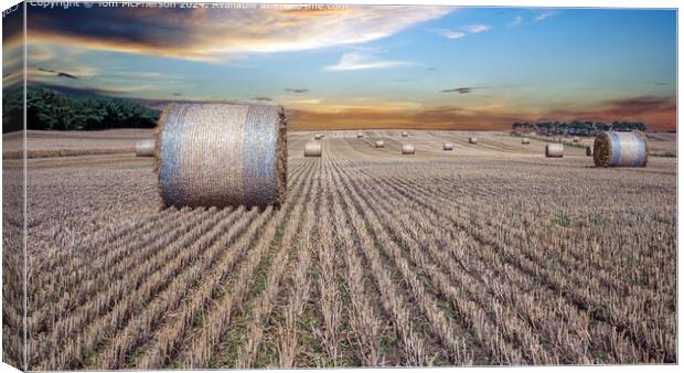 Bales of Hay in Field Canvas Print by Tom McPherson
