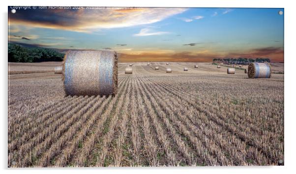 Bales of Hay in Field Acrylic by Tom McPherson