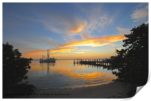 Golden Sunrise-Sunset Glow at Estero Boulevard, Fort Myers Beach Print by Steinar Hylle