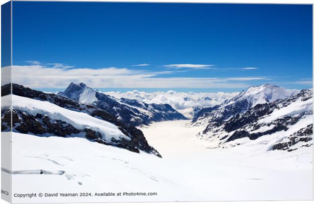 Jungfraujoch Glacier Landscape Canvas Print by David Yeaman