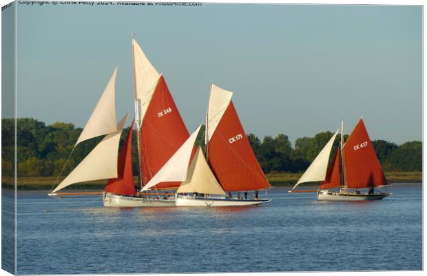River Colne Smack Race, Brightlingsea, Essex Canvas Print by Chris Petty