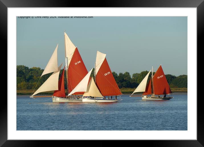 River Colne Smack Race, Brightlingsea, Essex Framed Mounted Print by Chris Petty