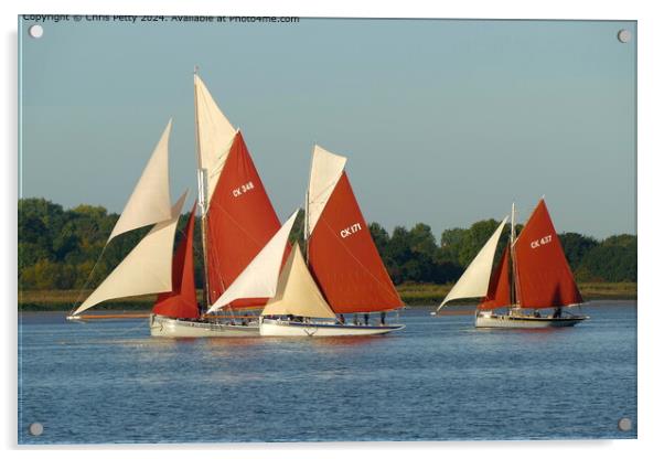River Colne Smack Race, Brightlingsea, Essex Acrylic by Chris Petty