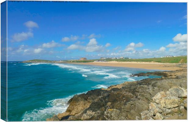 Fistral Beach Newquay  Canvas Print by Chris Petty