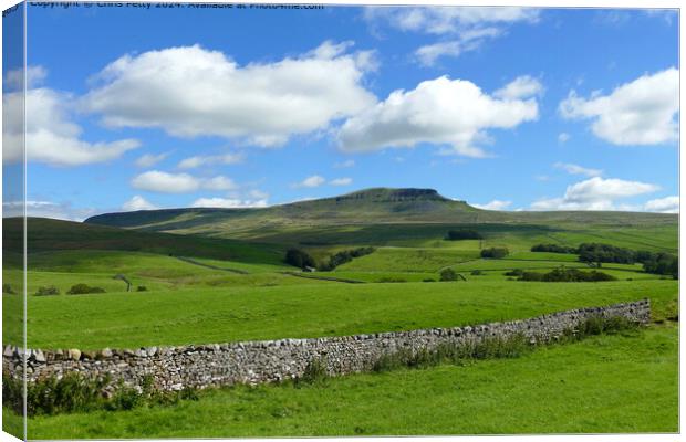 Penyghent Three Peaks Landscape Canvas Print by Chris Petty