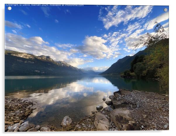 Lake Brienz Landscape Reflection Acrylic by David Yeaman